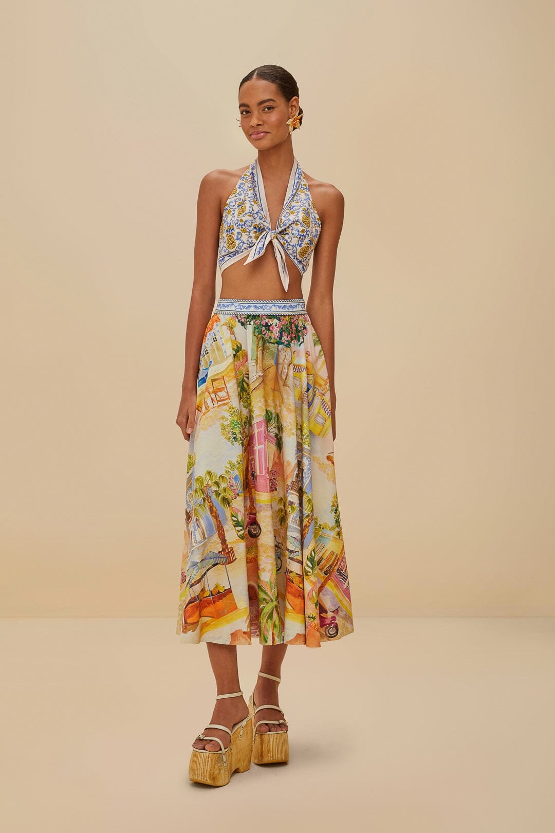 FARM_RIO-550_336649-ARACATI_MULTI_01